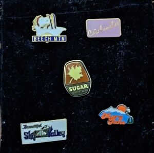 Vintage southeastern US ski pins